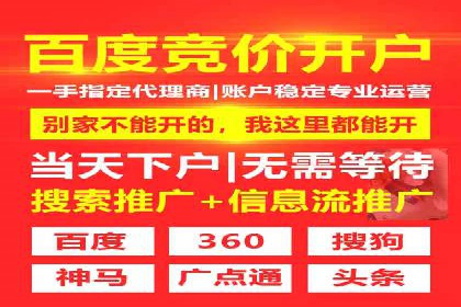 竞价推广策略：某电商平台的成功之路